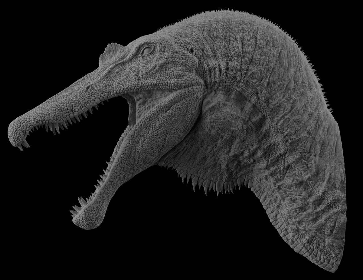 HarboStudio's tweet image. Spinosaurus 3D Sculpt Render

#blender3D #Dinosaur #jurassic #Redshift #공룡 #도마뱀