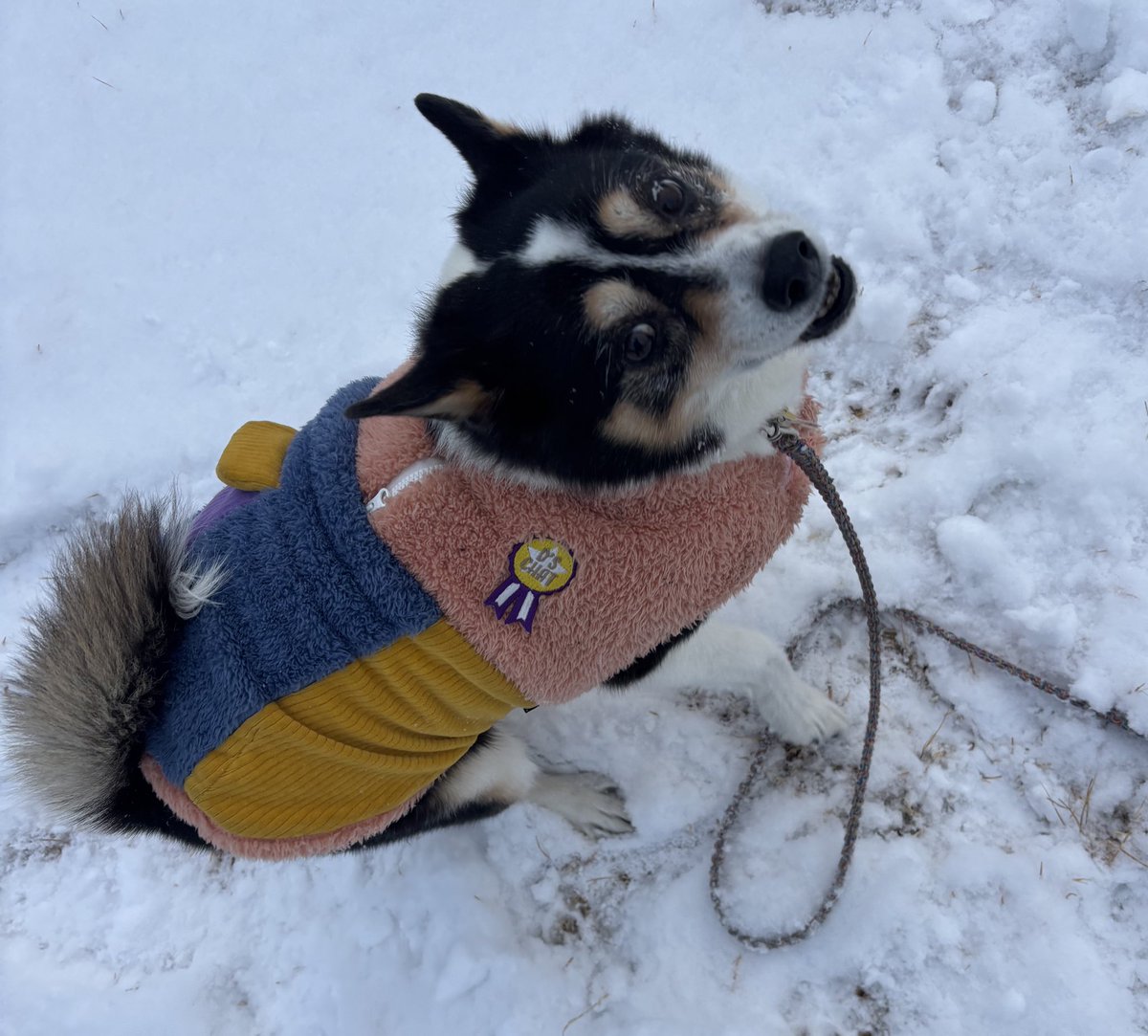 ひゃっほいしてきた😆