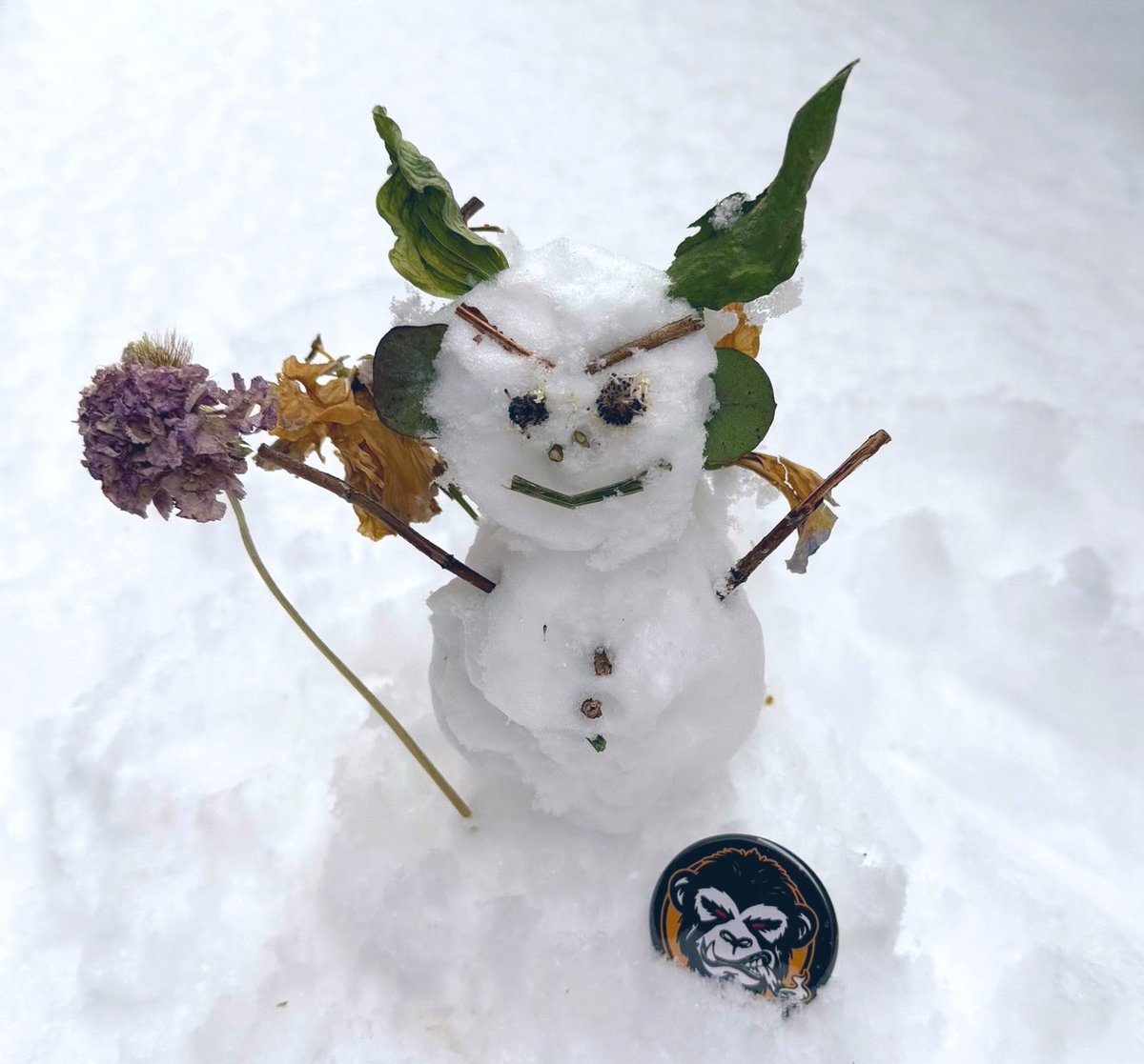 雪だるま様 魔王雪だるま⛄️ らしいよw