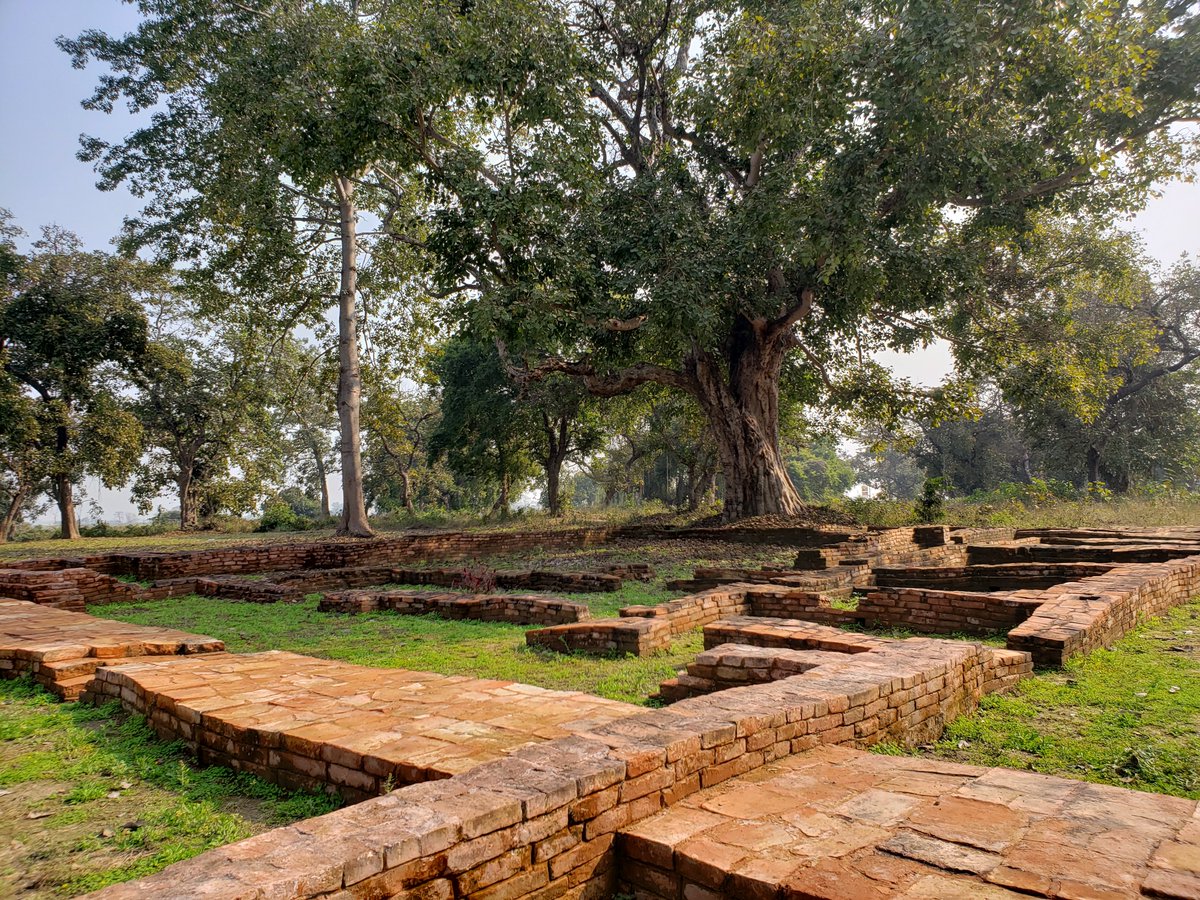 Nepal Tourism Board tweet media