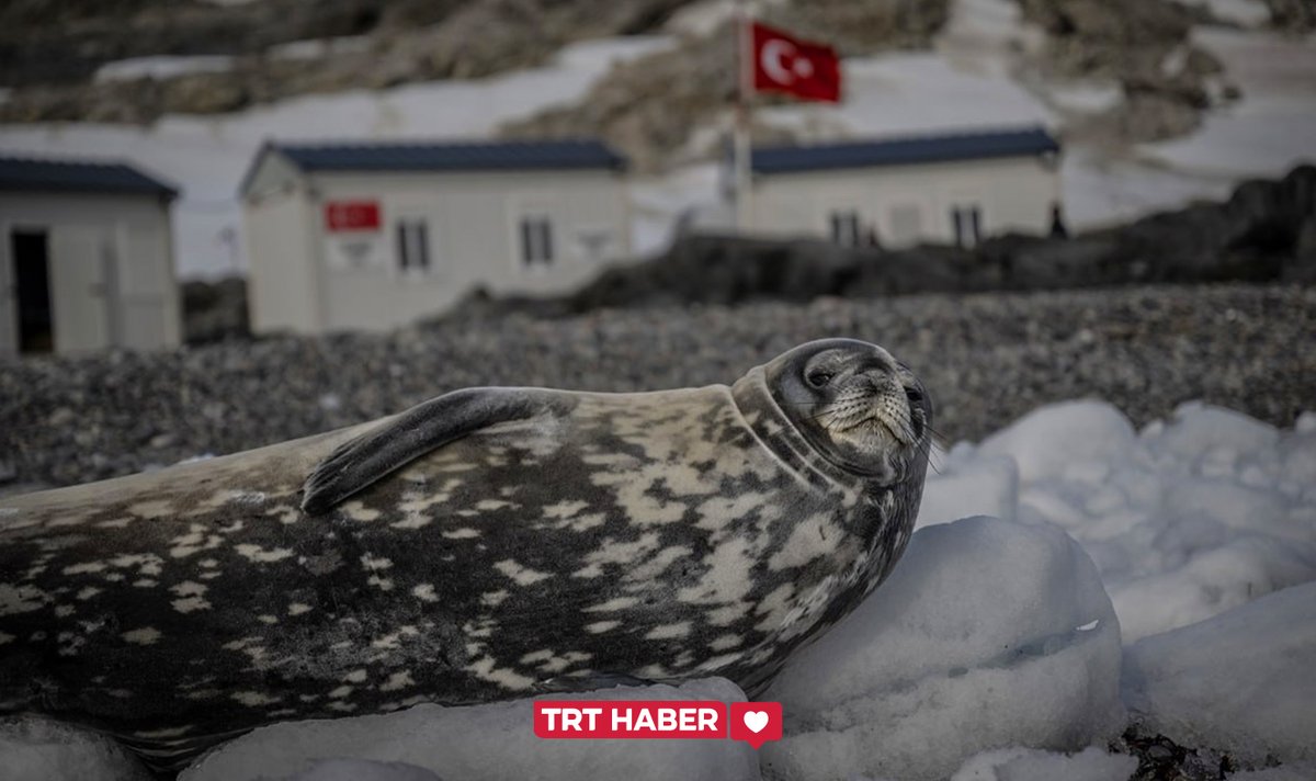 TRT HABER tweet media