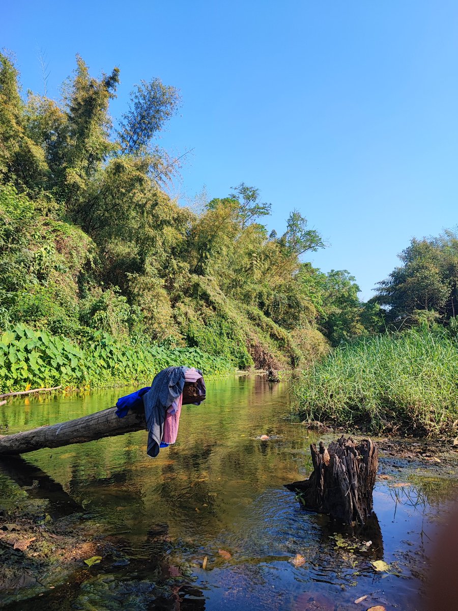 บรรยากาศเย็นสบาย สายน้ำไหลเอื่อย ๆ ธรรมชาติอยู่รอบตัวเรา 🏕️