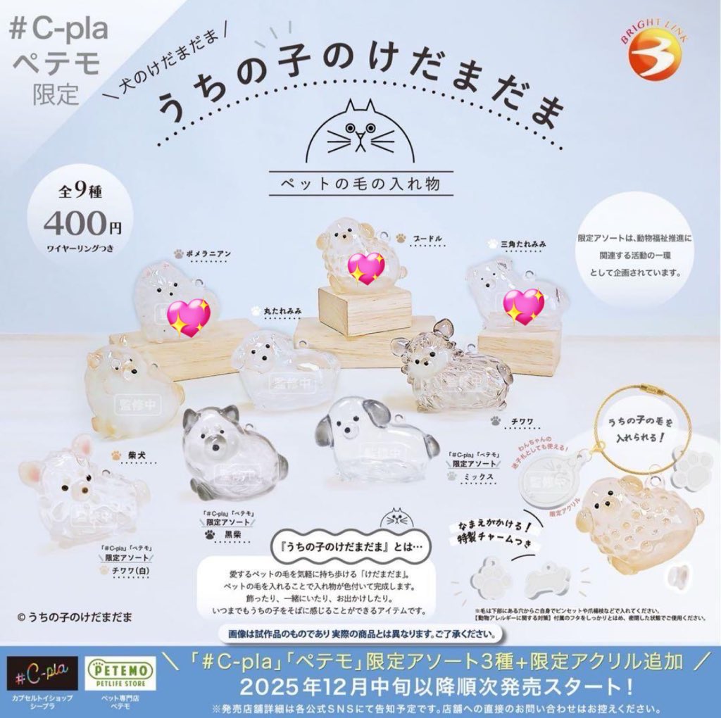 bk____e's tweet photo. 【交換】うちの子のけだまだま　うちのこけだまだま　けだまだま　犬　ガチャガチャ

【譲】画像💖
【求】チワワ黒、チワワ白

郵送希望になります。
検索からもお気軽にお声掛けください🎶 https://t.co/n4qx6CAYKz