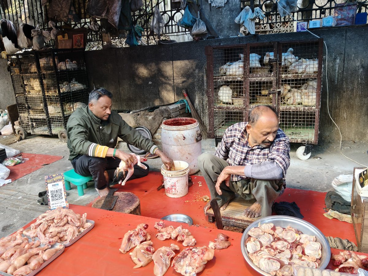 SHOORVIR PROGRAMME tweet media