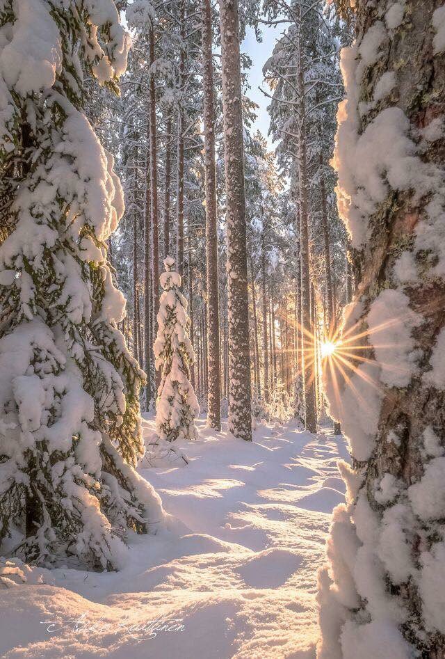 Love Nature! •.¸¸.•´´Enjoy this day•.¸¸. My frends.🌹 #GoodMorning #Buongiorno #Bomdia #BuenosDias