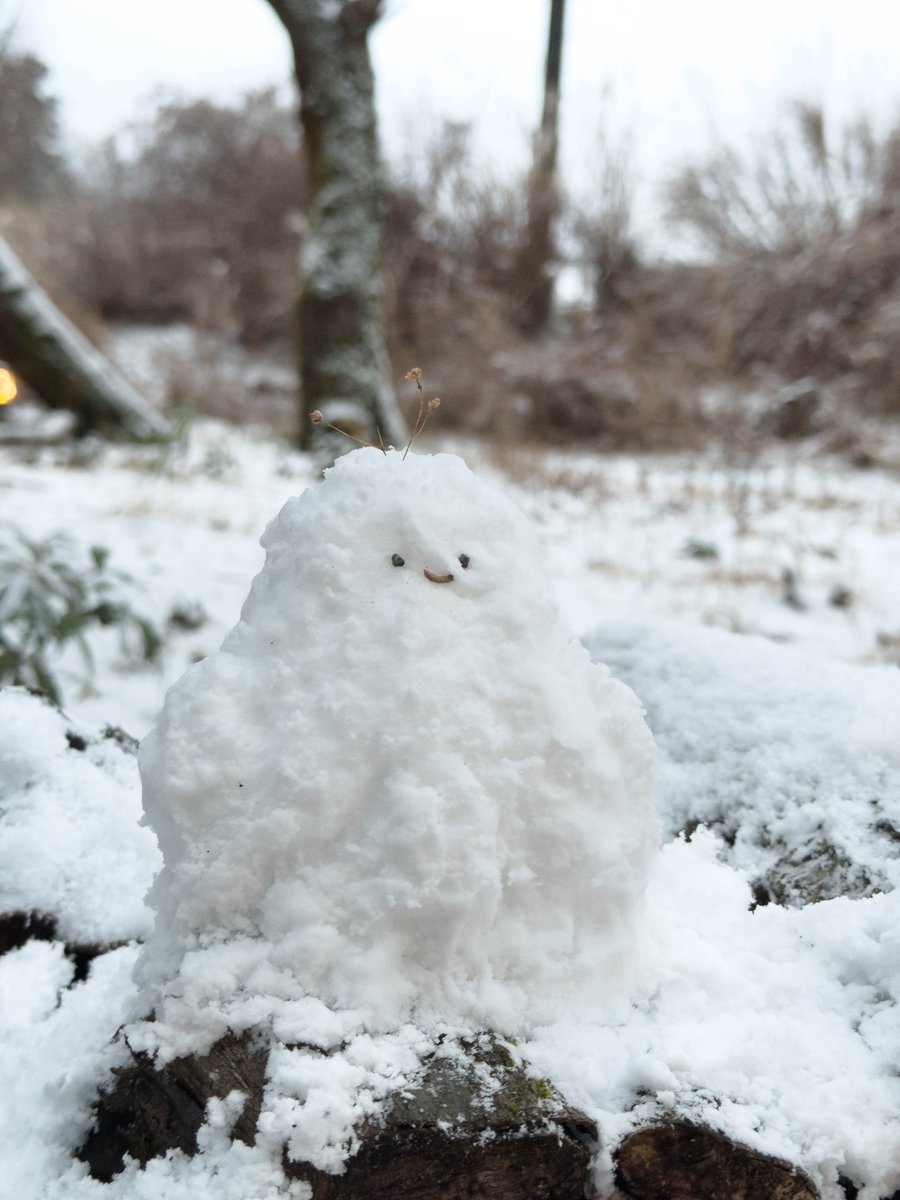 ゆきのおともだち作ったよ