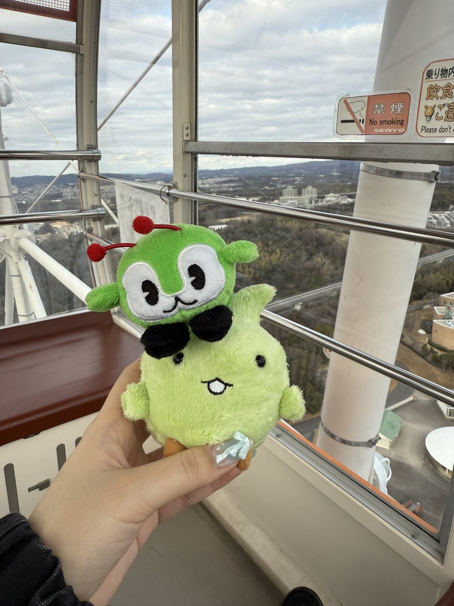 みどりいろのお友達を迎えました