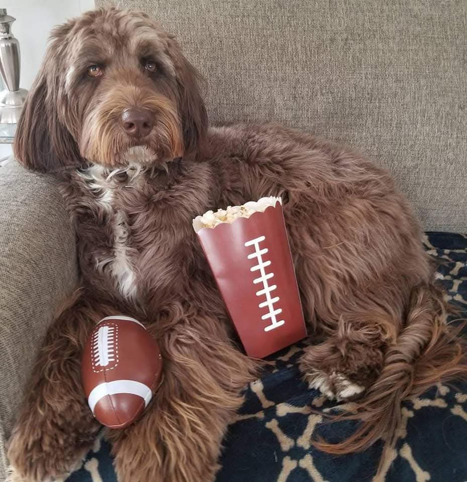 Bocker & Marie tweet media