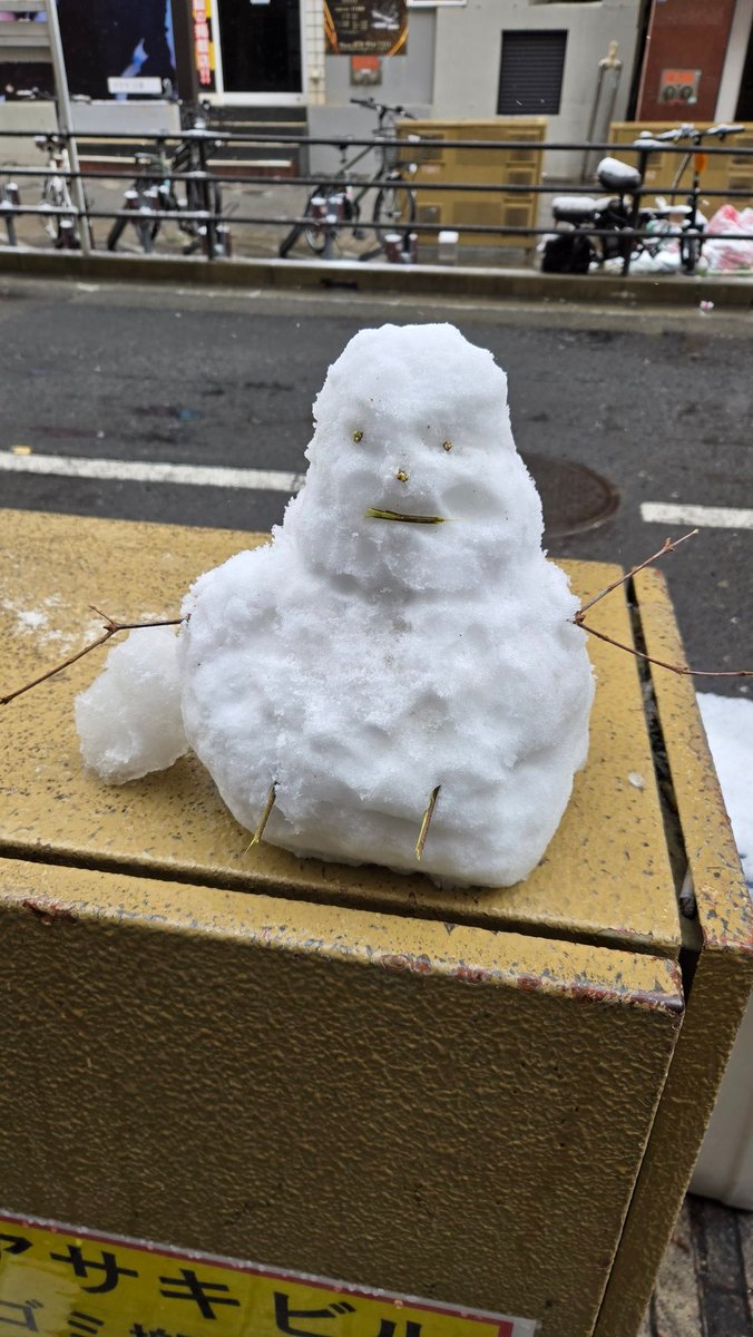 場所によってはちょっと凍っとる🥶 雪が降るのすら数年に一度程度の