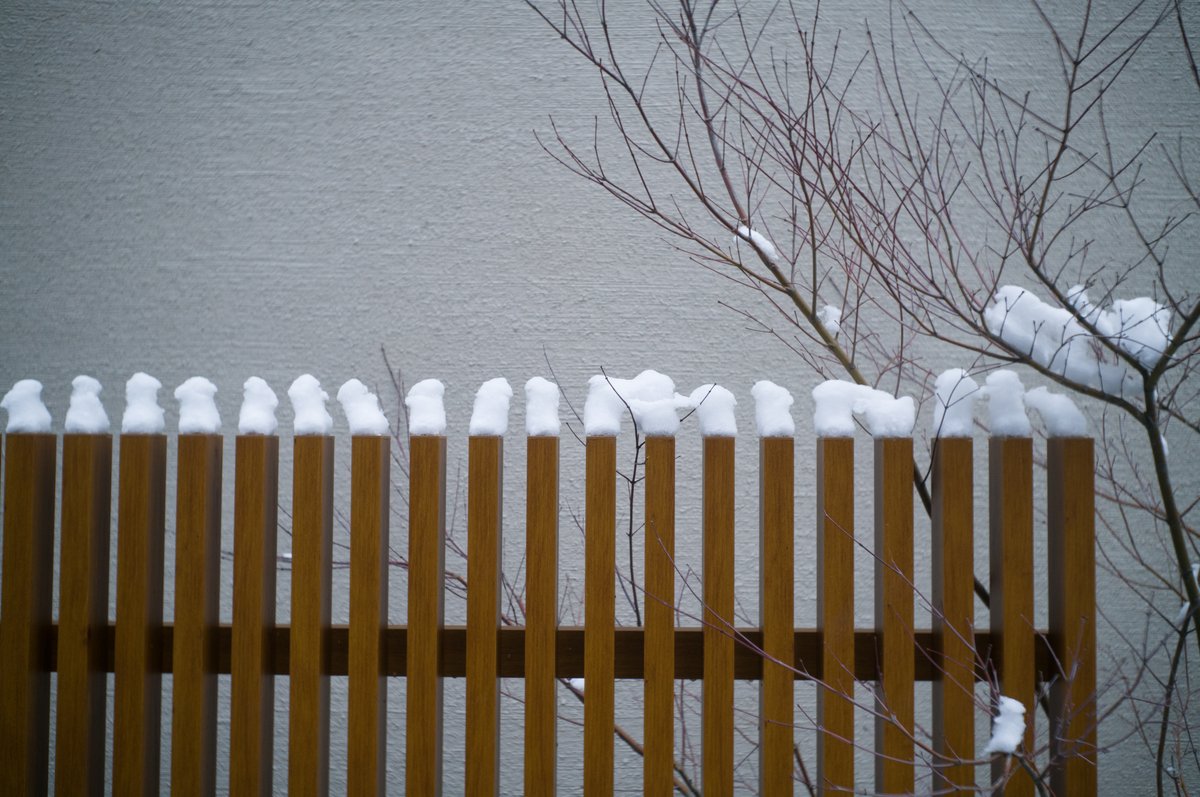 高野 (@chapter_22) / Posts / X