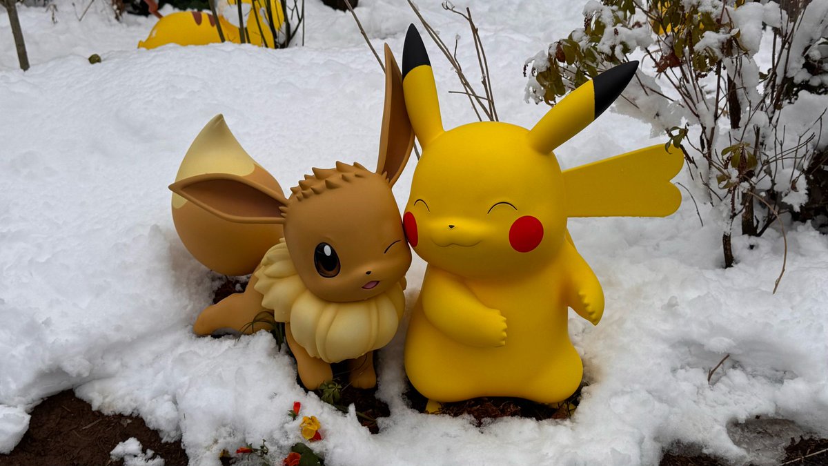 MAGIKARP🦈💦 tweet media