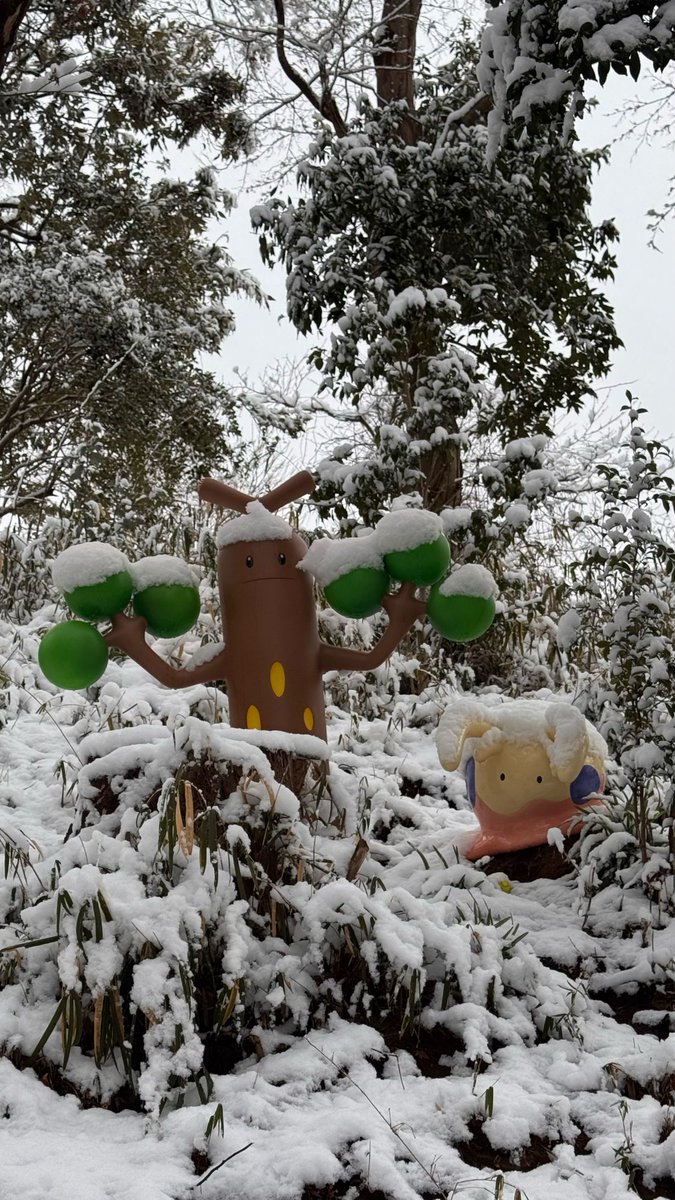 MAGIKARP🦈💦 tweet media