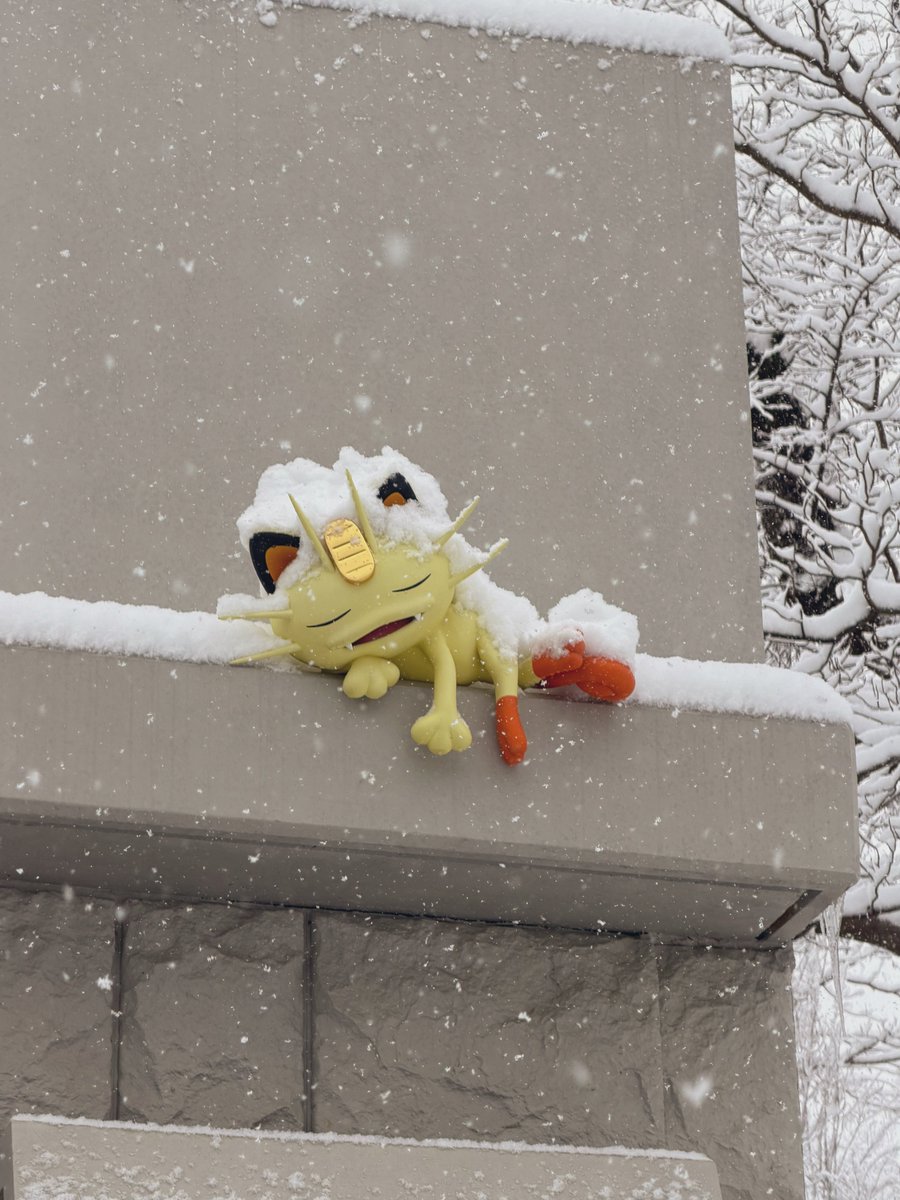 ☃️More images from the snowy PokéPark Kanto☃️