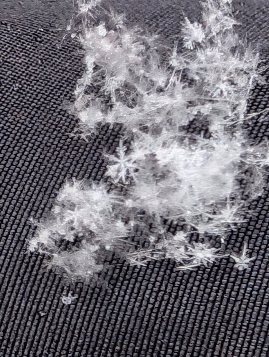 雨韻（ういん） tweet media