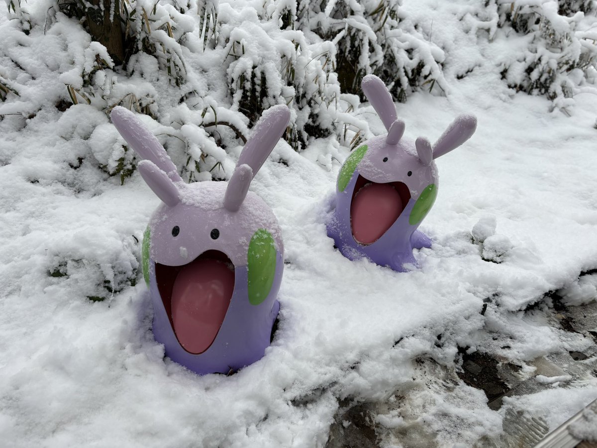 ✩栗花落かな✩ tweet media