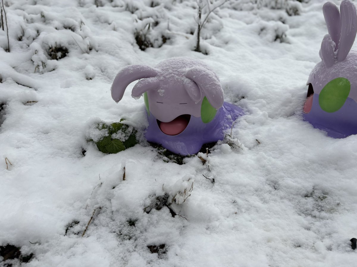 ✩栗花落かな✩ tweet media