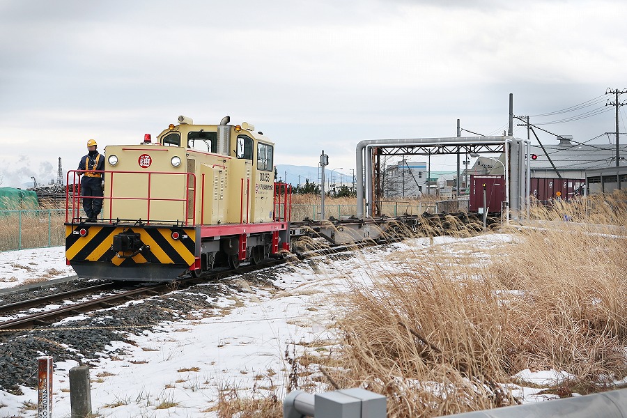 ぽっぽけ (@puppukupu_z) / Posts / X