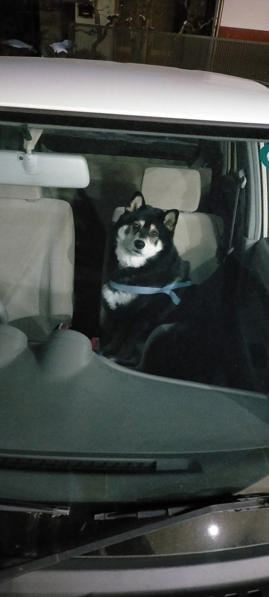 まめたろう (@mamemamemakmaki) / Posts / X