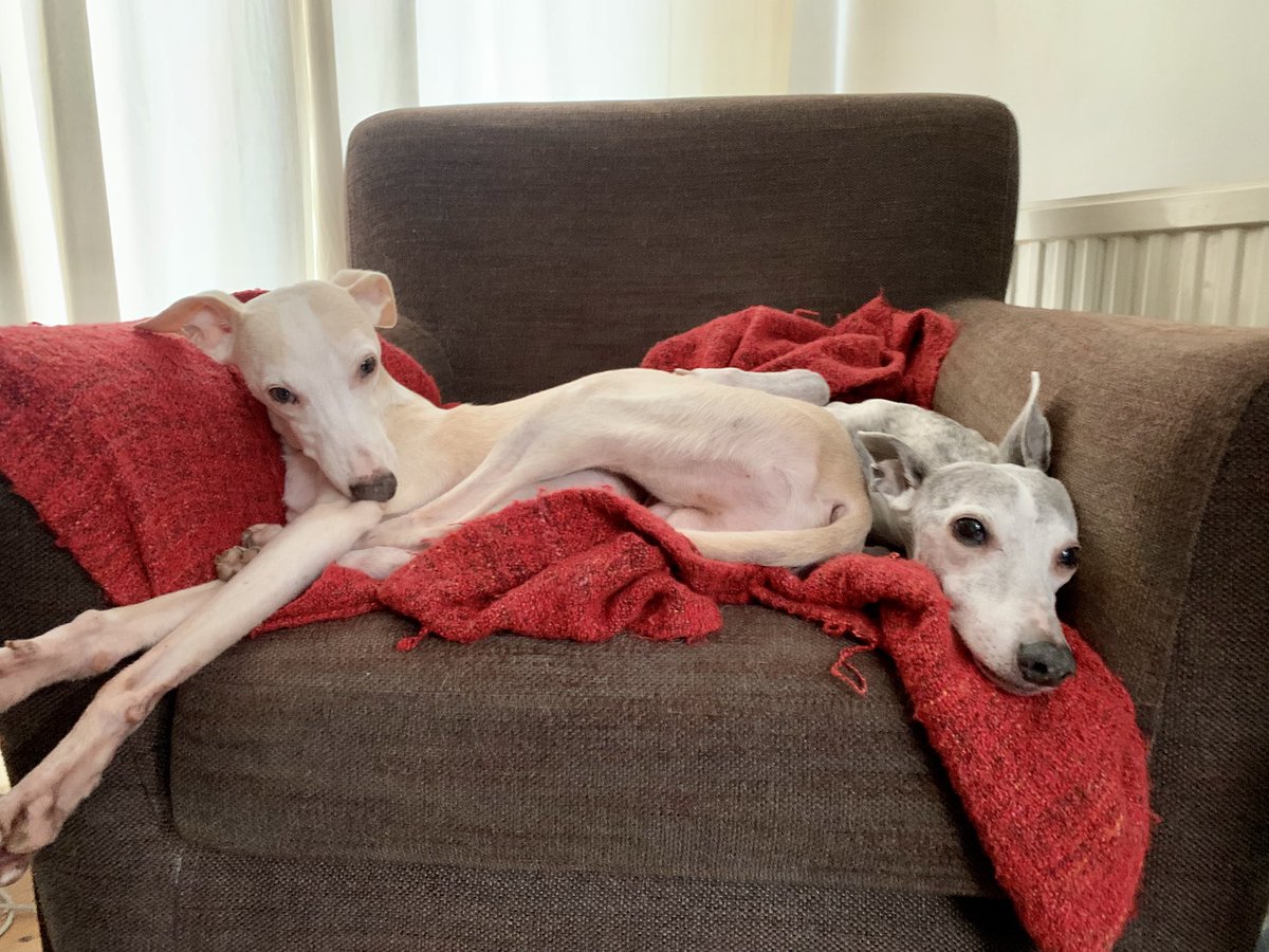 Orb’s Miniature World 💙 tweet media