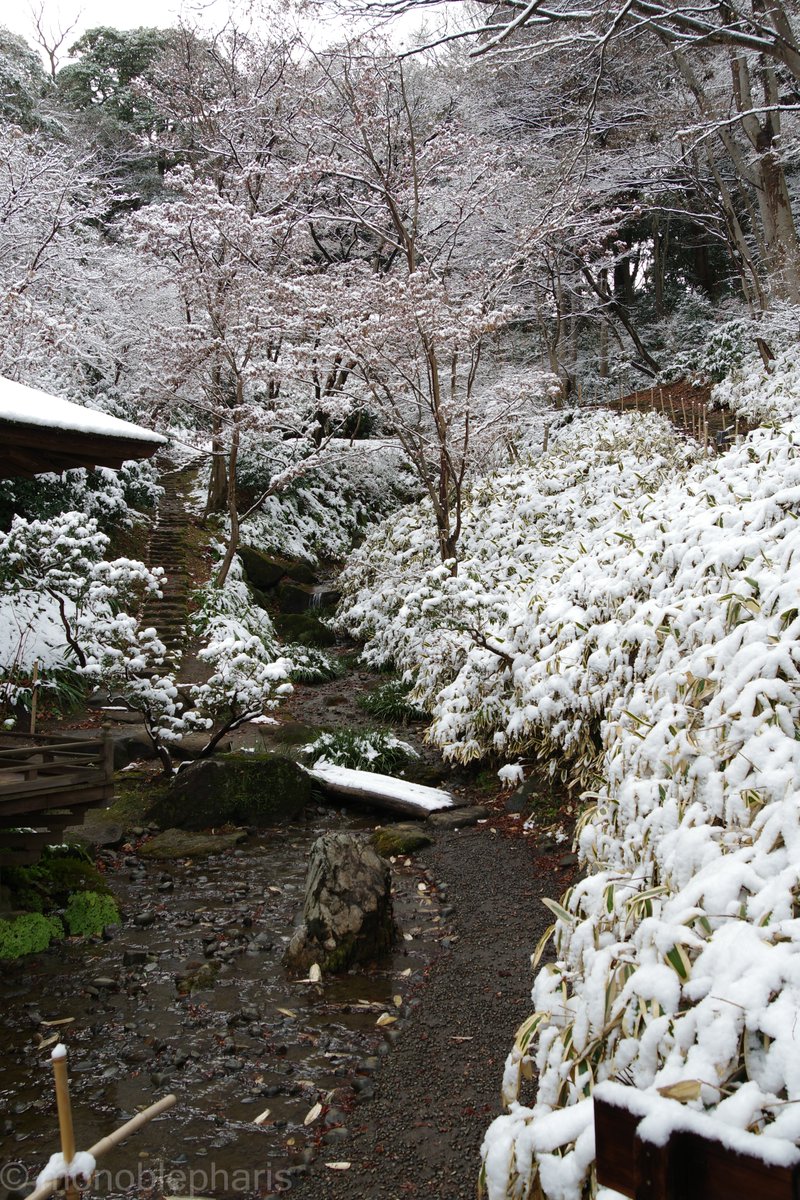 Monoblepharis's tweet photo. せっかくの雪だったので三渓園でカメラ道楽。すげぇ寒かった（）
PENTAX K-3 Mark III
HD PENTAX-DA 20-40mmF2.8-4 Limited https://t.co/hc89YUO7O6