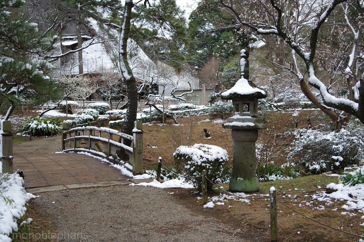 Monoblepharis's tweet photo. せっかくの雪だったので三渓園でカメラ道楽。すげぇ寒かった（）
PENTAX K-3 Mark III
HD PENTAX-DA 20-40mmF2.8-4 Limited https://t.co/hc89YUO7O6