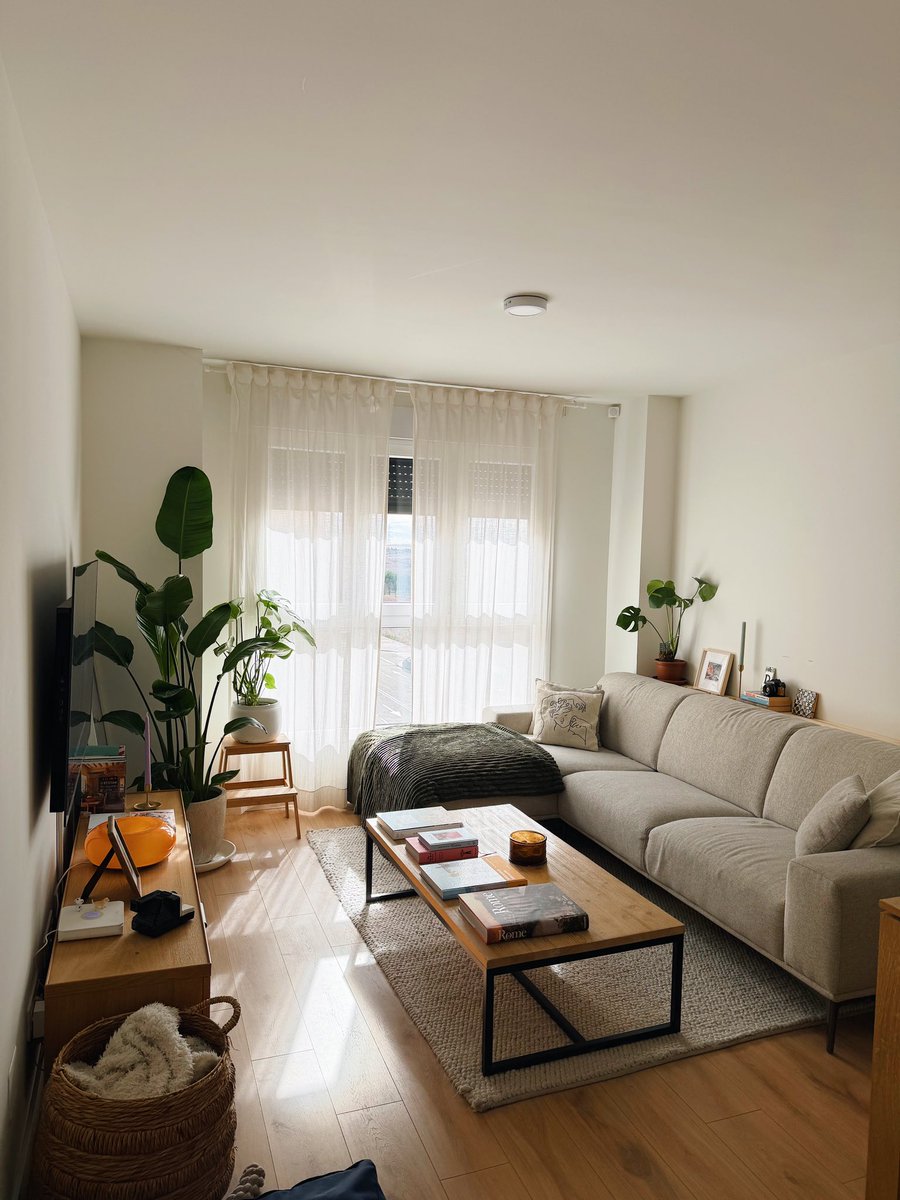 davidolivas's tweet image. casita últimamente 🧡