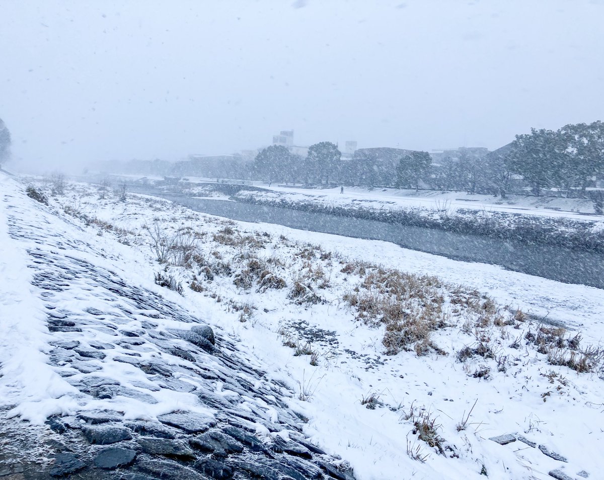 京都の鴨川、大雪すぎる