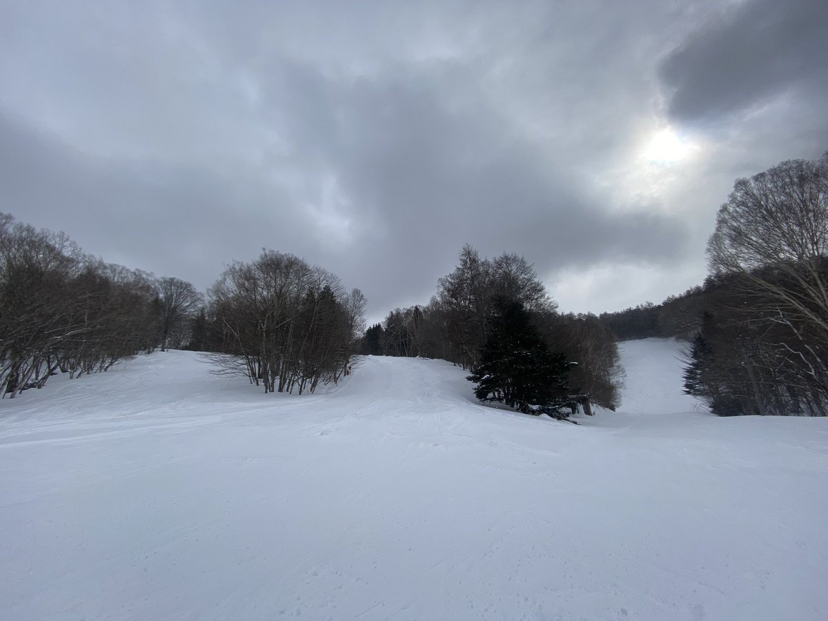 snow_monkey1440's tweet photo. 2025-2026シーズン17日目🎿
ホーム9日目❄️

一晩降った❄️で縦縦のぶっ飛ばしても平気なコースで、極寒の中暴れてきました🎿 https://t.co/vPNWJpa2vE