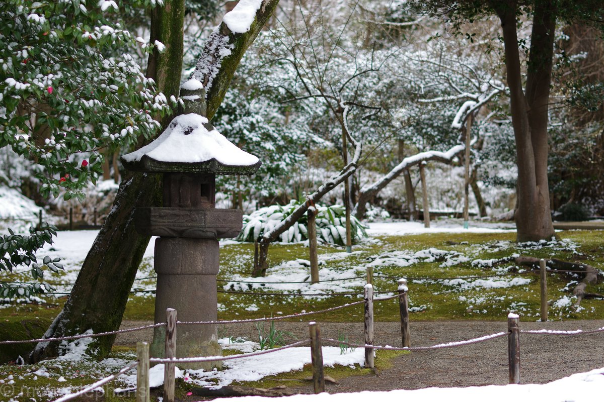 Monoblepharis's tweet photo. 久しぶりに使った★55mmF1.4。
PENTAX K-3 Mark III
smc PENTAX-DA★55mmF1.4 https://t.co/dZbDWAhEuz