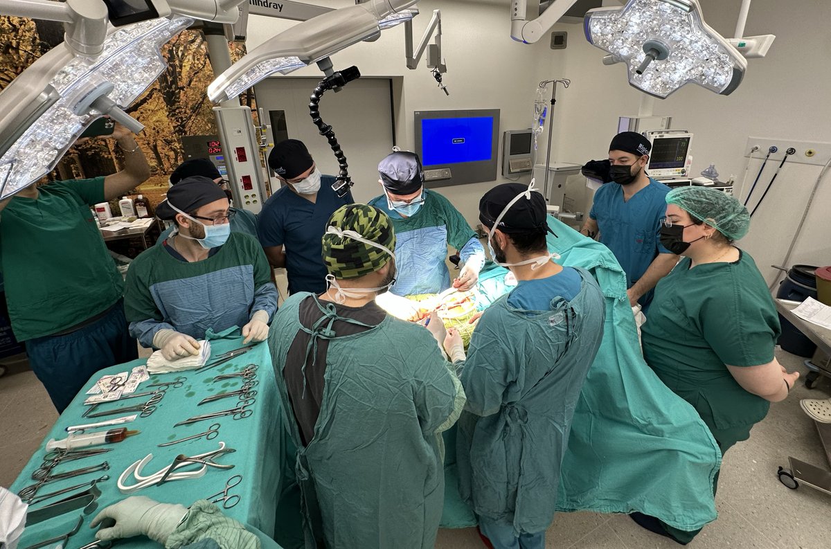 dryasarbasaga's tweet photo. International Masterclass in Penile Reconstructive Surgery – Second Edition.
A very special day where knowledge, experience, and international collaboration came together. We would like to thank all the physicians who participated.

@drserefoglu 
@drMarcoFalcone1