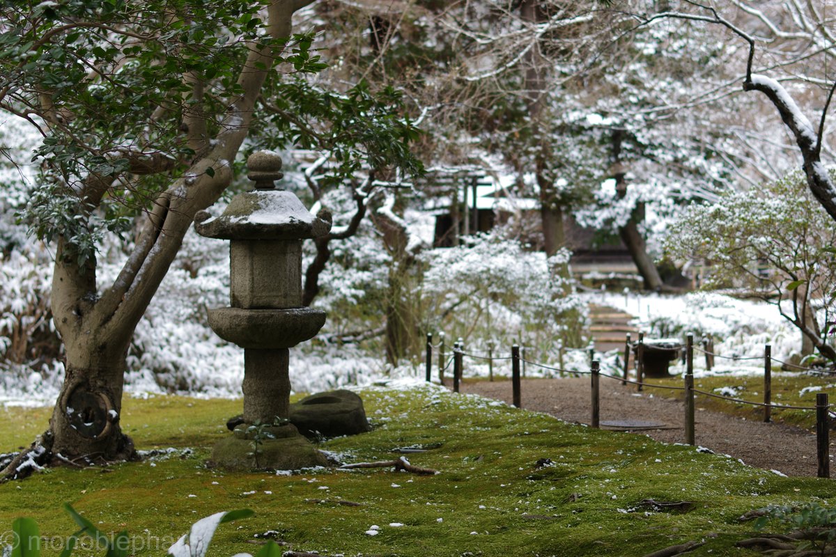 Monoblepharis's tweet photo. 久しぶりに使った★55mmF1.4。
PENTAX K-3 Mark III
smc PENTAX-DA★55mmF1.4 https://t.co/dZbDWAhEuz