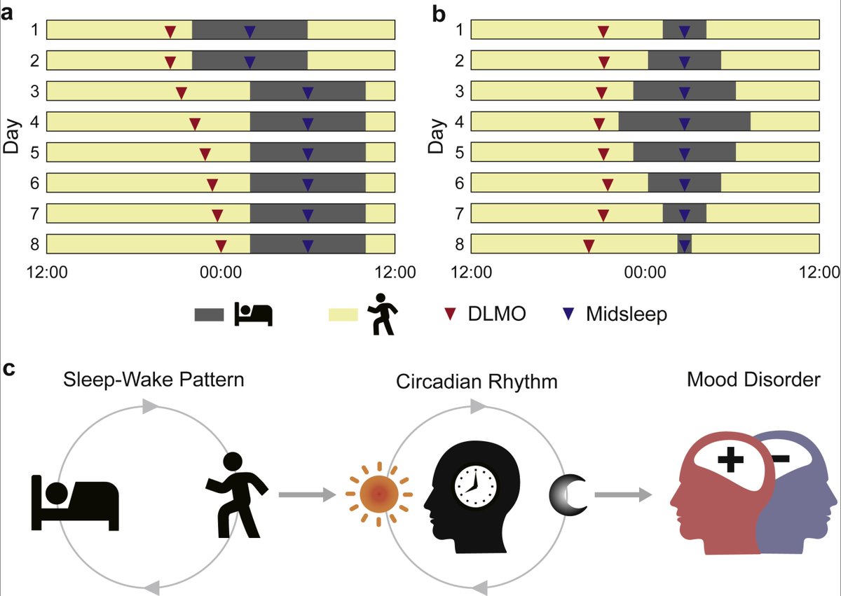 Circadian disruption has long been linked to mental health disorders.

We now have more evidence that the link may be causal.

A longitudinal study found circadian disruption directly preceded mood symptoms, with a causal signal in 66.7% of MDD and 85.7% of bipolar I patients.