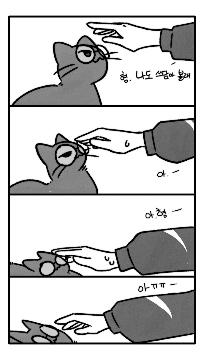 dodong_Ooo's tweet photo. 요즘 유?행? 하는 그 고양이 짤 https://t.co/iUPdxDE9L7
