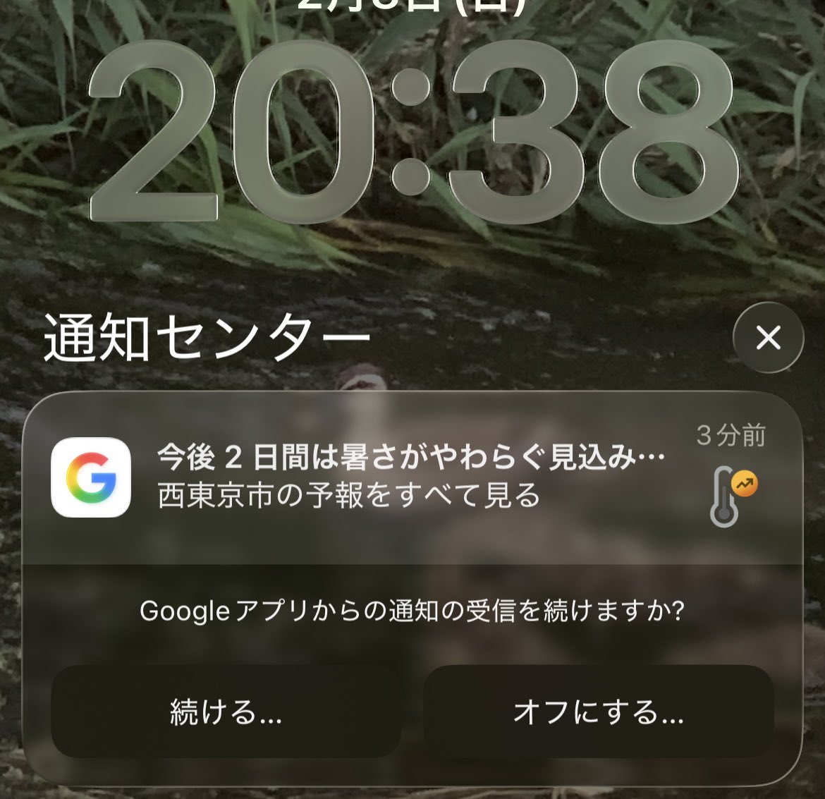 Googleさん。2月に暑さやわらぐという表現はいかがなものかと