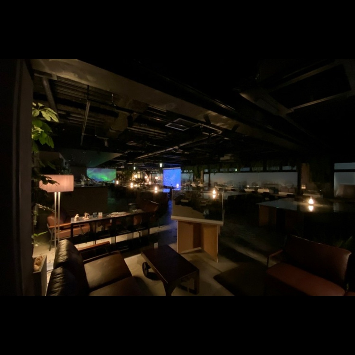 taiki__camera's tweet photo. 新宿アポで外したくないならこの辺り。
個人的にも使ってて、お伝えしたお客様からも高評価でした。

・花のある棲家
新宿三丁目駅近で使いやすいし入りやすい。
昼夜とも雰囲気◎

・バー ルースター
三丁目で棲家からも近い。
2件目に最適でお酒も美味しい。

・お茶づけバーZUZU
歌舞伎町で手軽に利用しやすい。
雰囲気と距離感◎

・串焼BISTRO福みみ
三丁目、カウンター席使いやすい。
要予約。