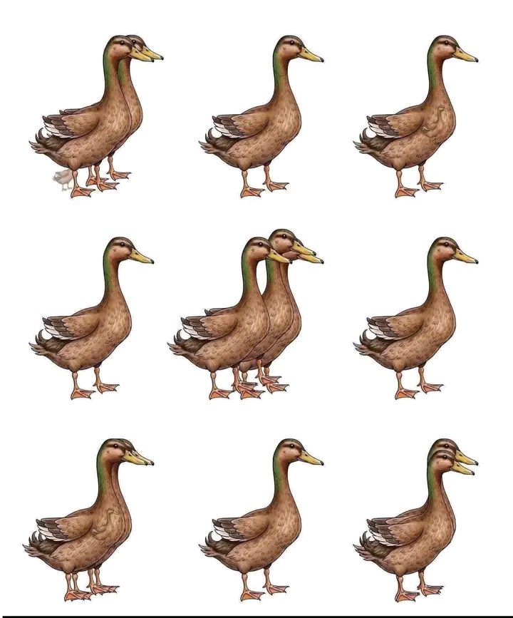 Jacob Shukuru tweet media