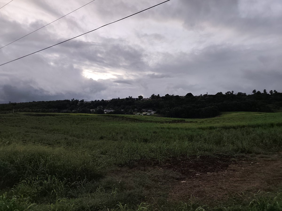 My Sunday Morning start: strava.app.link/MX7AWj6DA0b