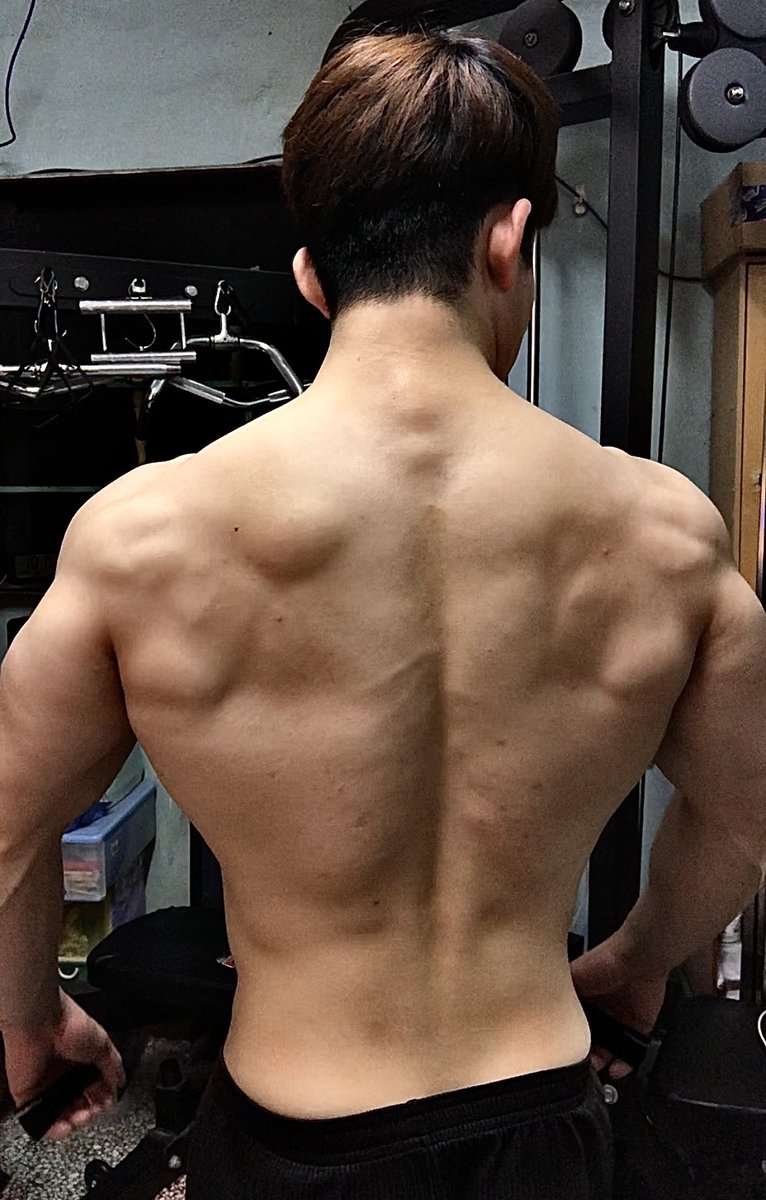 櫻木花道 tweet media