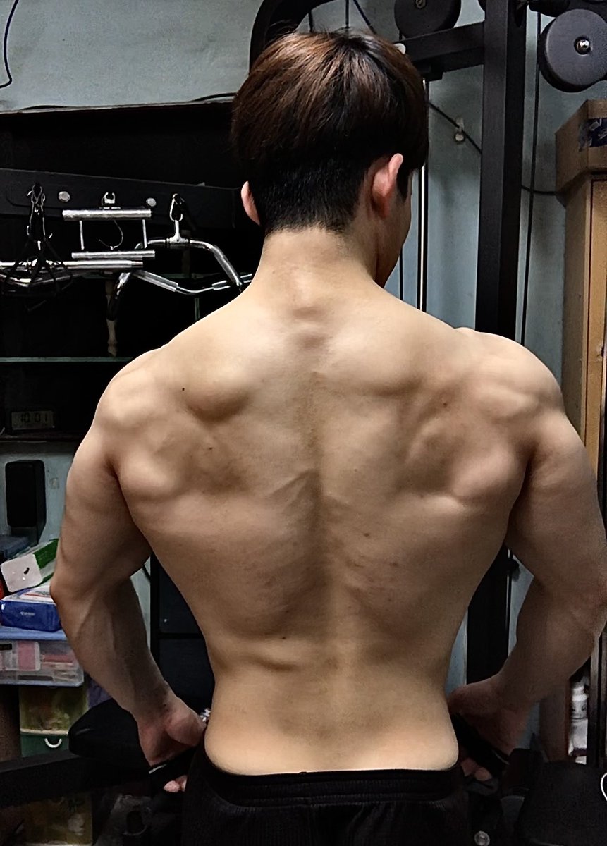 櫻木花道 tweet media