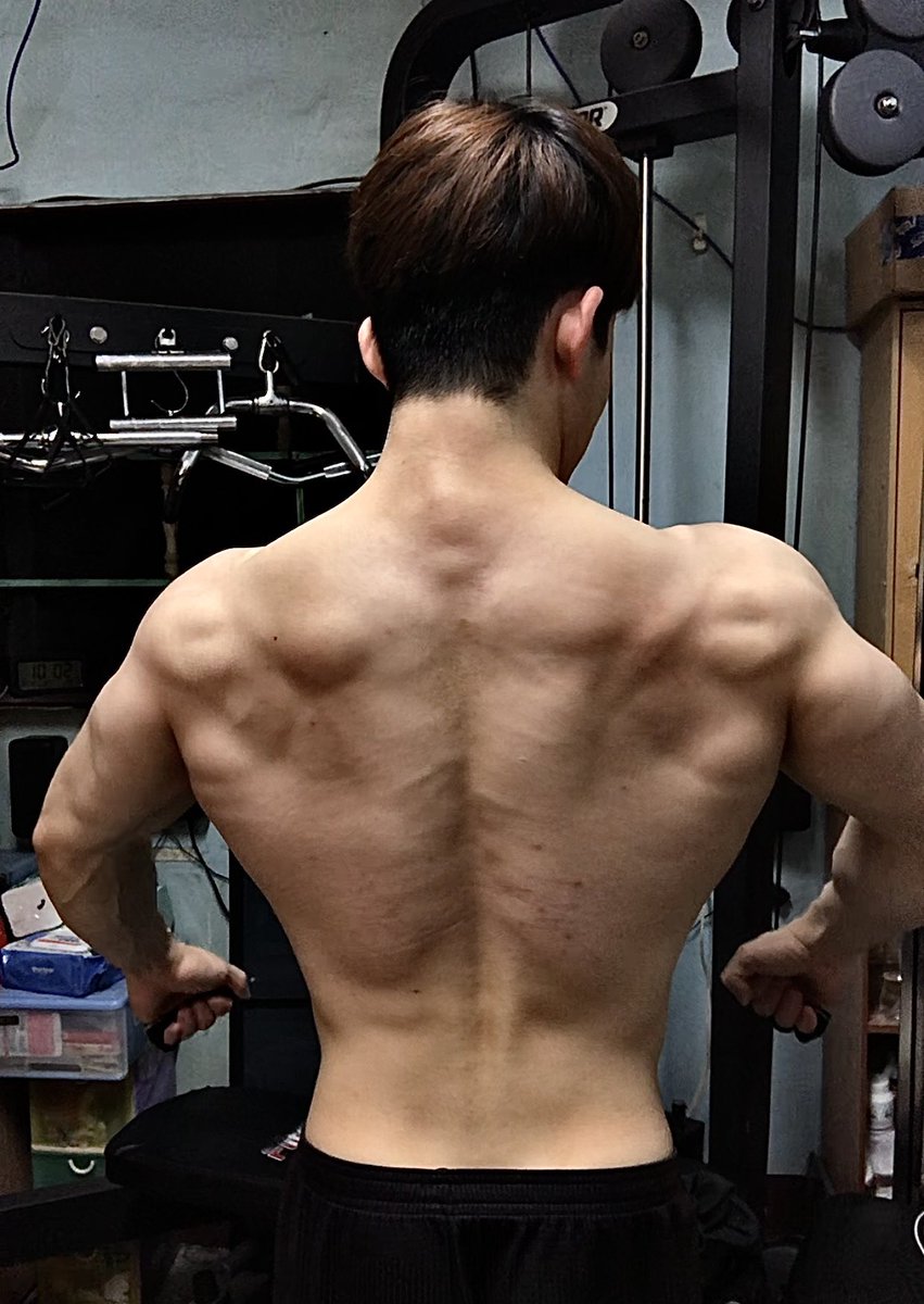 櫻木花道 tweet media