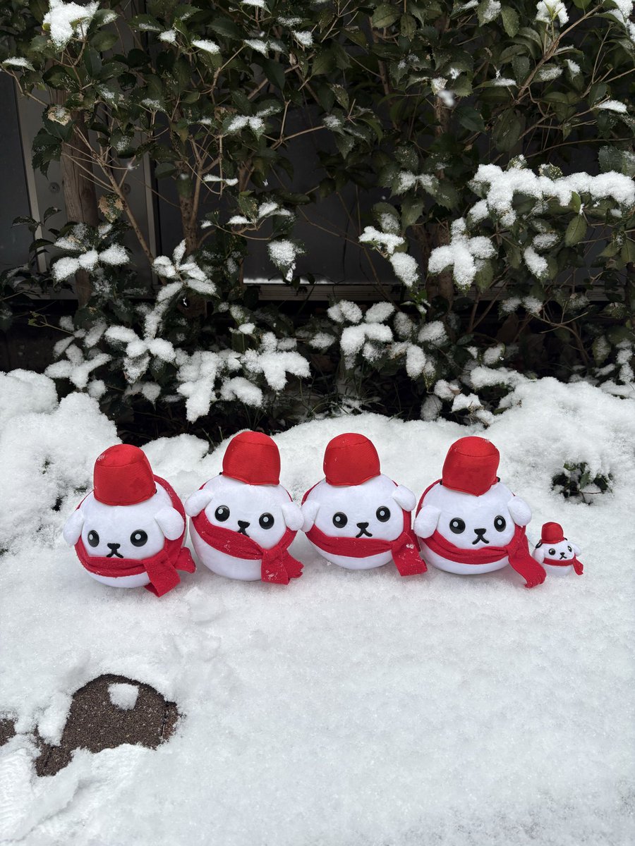 明日にはいなくなっちゃうんだね…。