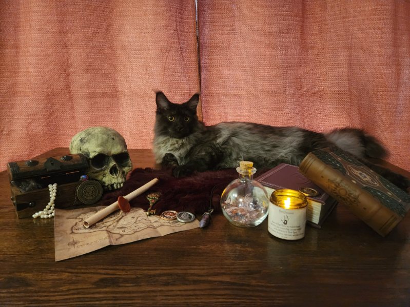 DAMdude85 tweet media