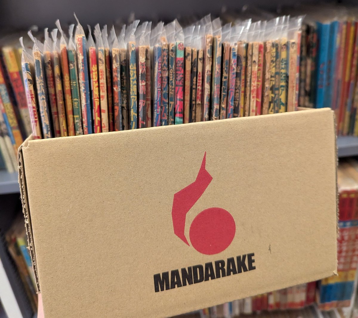 まんだらけコンプレックスVIN📚 tweet media