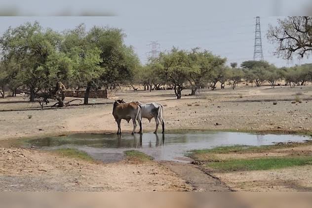 Parbat Singh Rathore tweet media