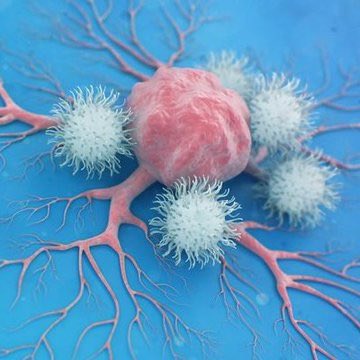 BongoIdeas's tweet image. All of a sudden…

Breast cancer (cure found)
Lung cancer (cure found)
Colorectal cancer (cure found)
Prostate cancer (cure found)
Stomach cancer (cure found)
Liver cancer (cure found)
Cervical cancer (cure found)
Thyroid cancer (cure found)
Bladder cancer (cure found)
Esophageal…