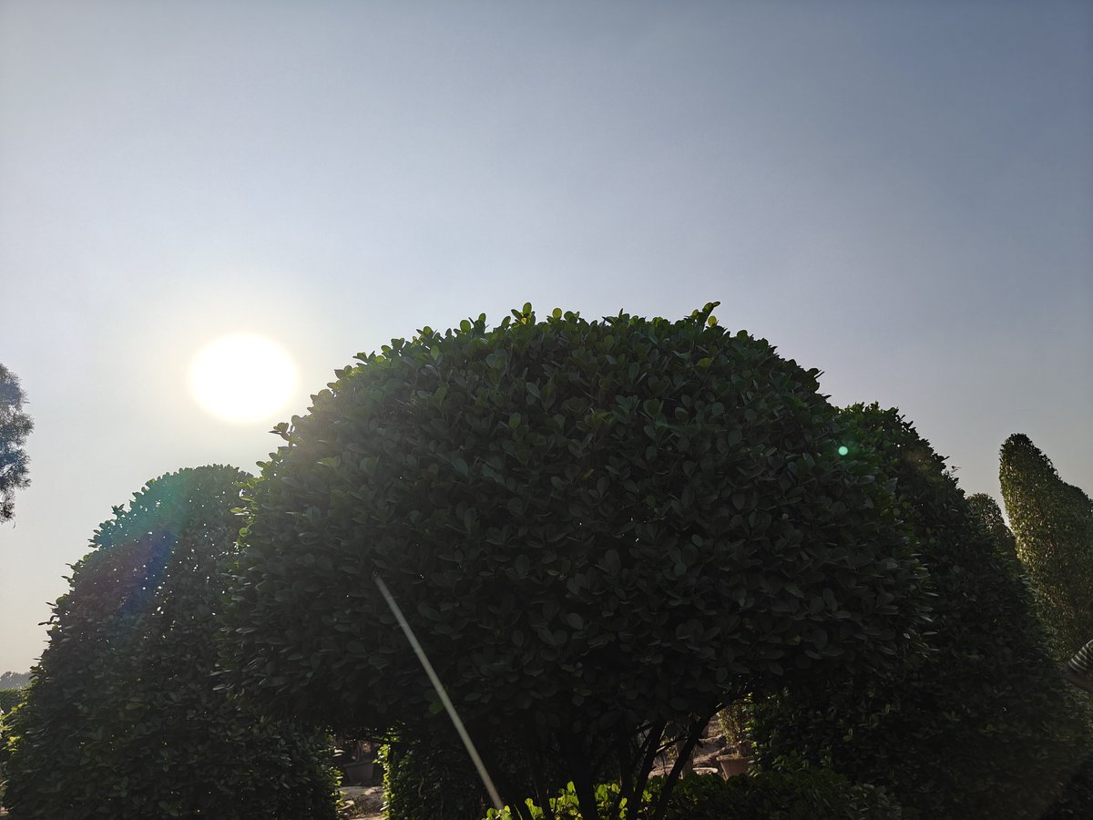 Random clicks