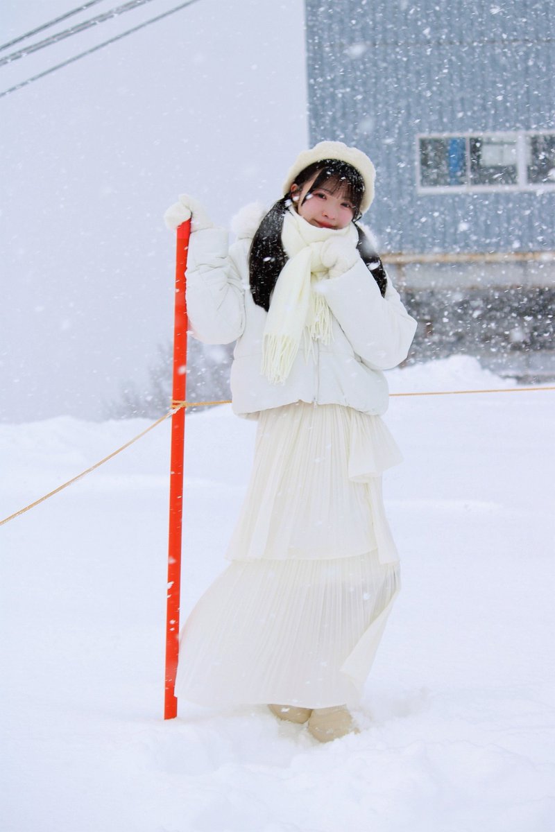 のぶたん (@nobutan0729) / Posts / X