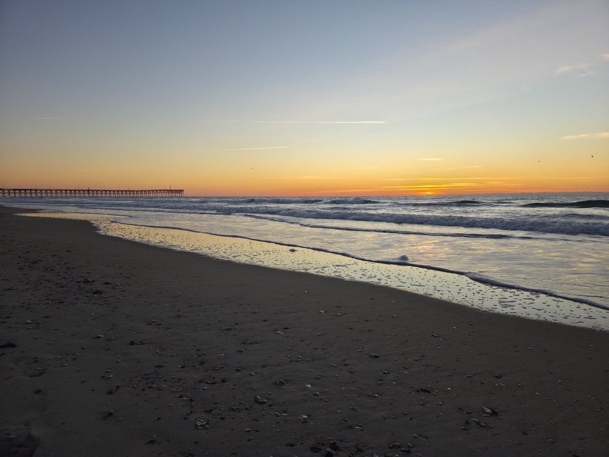 somethin2fierce's tweet image. Good morning Sunshine 🌞 

Its game day 💚💙