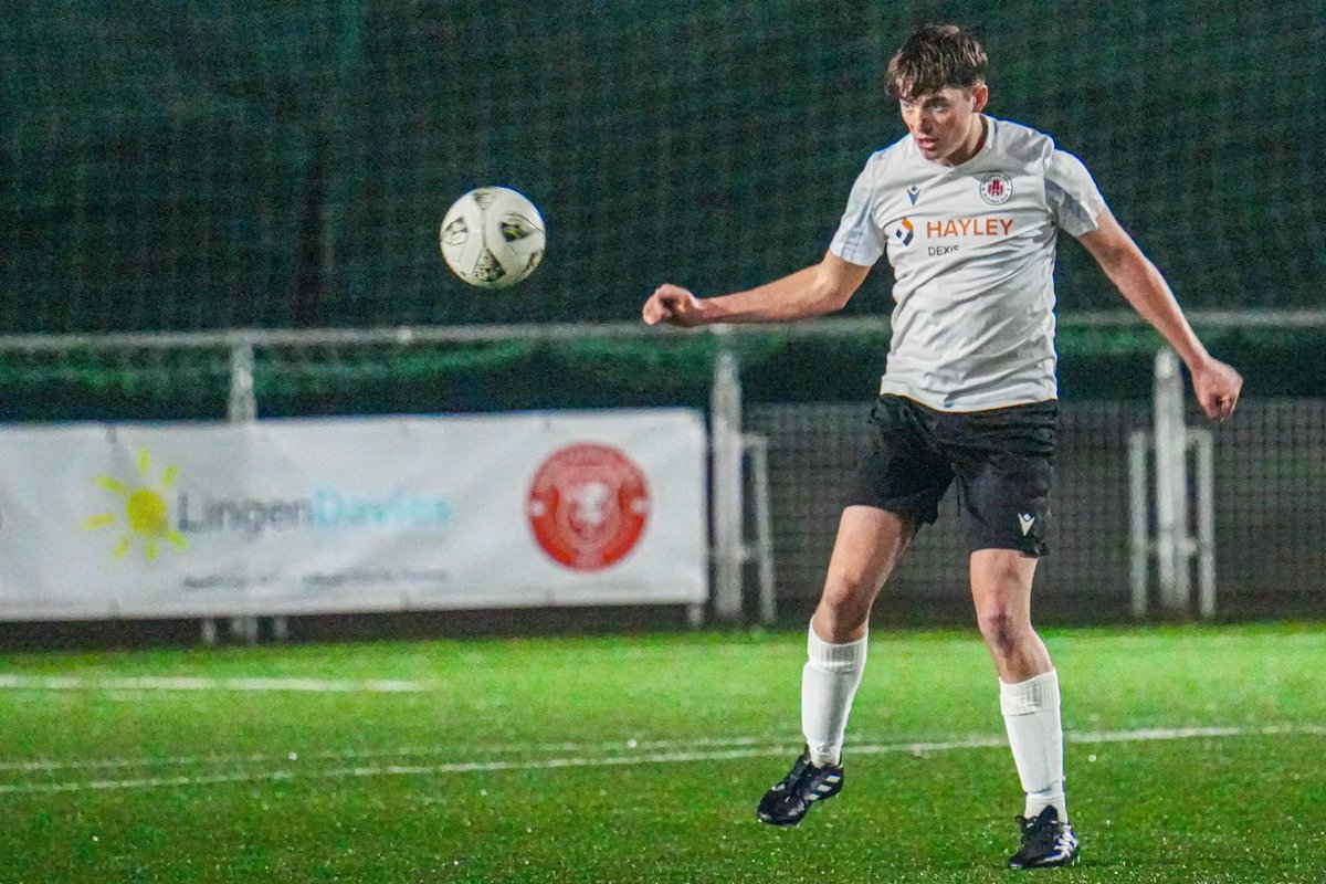 dylanevans.photos tweet media