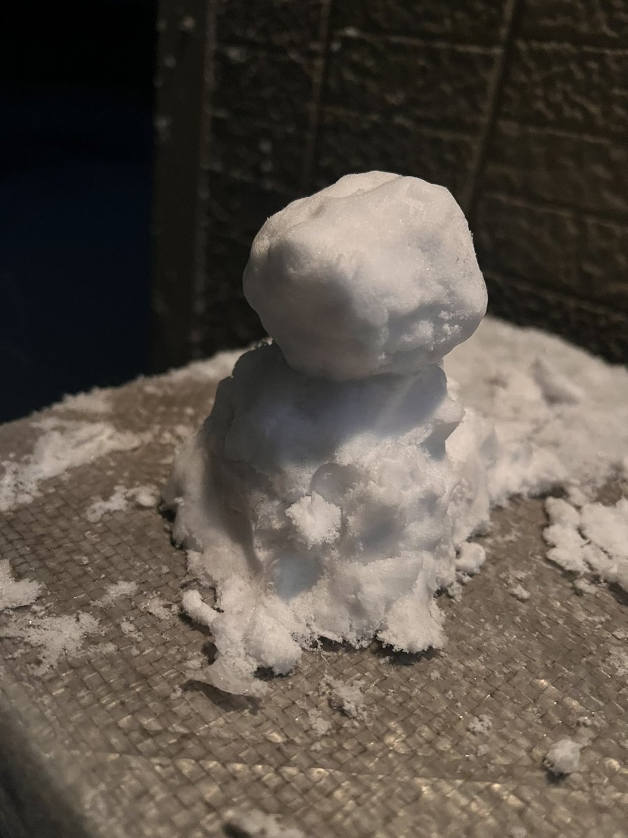 今年も雪だるま作れたー！！！

雪ふわふわやし素手で感覚ない中
作ったからめっちゃ雑\( ˆoˆ )/

雪降る度、1人でやるのちょっと寂しいけど
寂しさよりワクワクが勝ってしまう35歳🥴